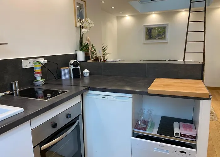 Apartment Lovely At Ile Saint-louis Paris